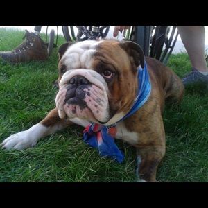 Meet your Posher, Lana